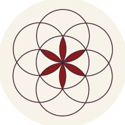 Avatar del usuario